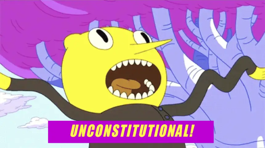 Lemongrab from Adventure Time, yelling. The caption reads, "UNCONSTITUTIONAL!"