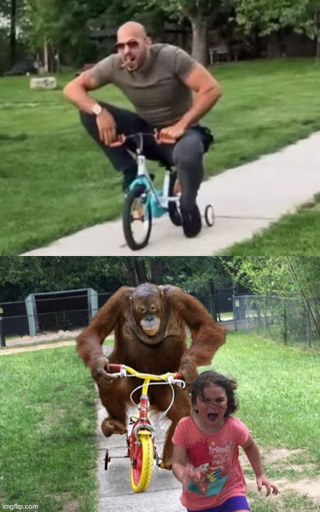 The top image depicts Andrew Tate on a kids bycicle. The bottom image depicts a monkey on a bycicle chasing a small girl who is running away in fear. Both images have a striking simmilarity.
