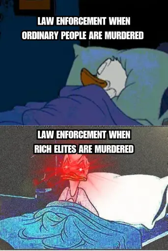 Sleeping Donald Duck in top panel with text "Law enforcement when ordinary people are murdered". A wide awake donald duck with laser beam eyes in the bottom panel with text "Law enforcement when rich elites are murdered"